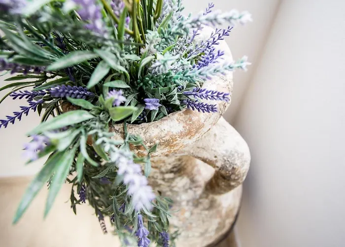 Aga Affittacamere 3*